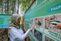 PLN mendorong kemajuan ekonomi dan melestarikan lingkungan. (Foto: Istimewa)