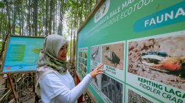 PLN mendorong kemajuan ekonomi dan melestarikan lingkungan. (Foto: Istimewa)