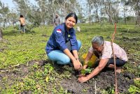 Foto menunjukkan proses penanaman pohon serentak di Desa Noimbila, Kecamatan Mollo Selatan, dengan melibatkan masyarakat dan kelompok tani, simbol komitmen untuk rehabilitasi lingkungan.