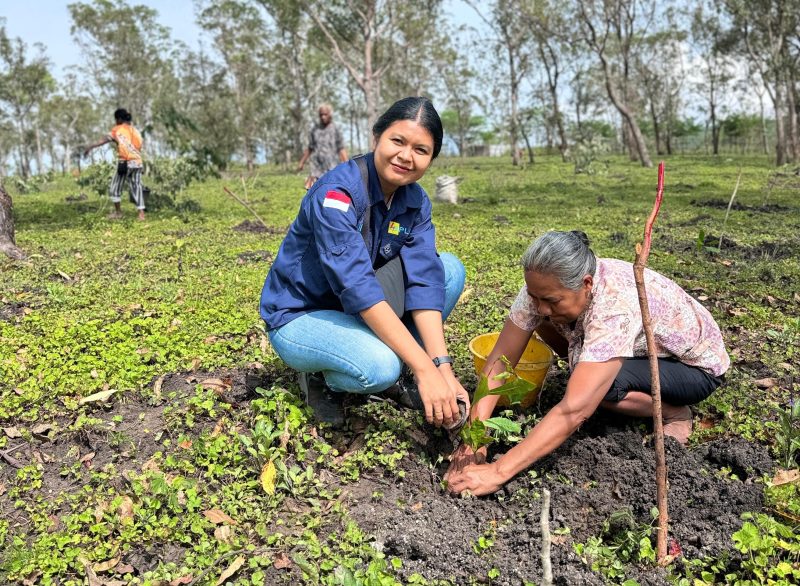 Foto menunjukkan proses penanaman pohon serentak di Desa Noimbila, Kecamatan Mollo Selatan, dengan melibatkan masyarakat dan kelompok tani, simbol komitmen untuk rehabilitasi lingkungan.