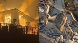 Bahaya rumah retak akibat tanah longsor pasca kebakaran di Los Angeles (instagram.com/bellahadid)