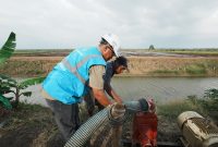 Petani menggunakan pompa listrik di sawah yang tersambung listrik PLN, menggambarkan efisiensi biaya dan kemajuan dalam modernisasi pertanian. (Foto: Dok. PLN)