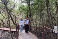 Wisatawan menikmati keindahan alam di Bale Mangrove, Lombok Timur, dengan latar belakang pohon mangrove yang rimbun, simbol keberhasilan program ekowisata PLN NTB. (Foto: Dok. PLN)