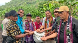 Sejumlah petani Lembata mengikuti pelatihan budidaya tanaman yang diselenggarakan oleh PLN UIP Nusra sebagai bagian dari program TJSL. (Foto: Dok. PLN)