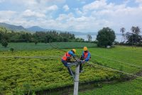 Tim PLN NTB melakukan pemeliharaan jaringan listrik di Bima menjelang Ramadan 1446 H untuk memastikan pasokan listrik tetap stabil dan andal. (Foto: Dok. PLN)