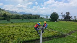 Tim PLN NTB melakukan pemeliharaan jaringan listrik di Bima menjelang Ramadan 1446 H untuk memastikan pasokan listrik tetap stabil dan andal. (Foto: Dok. PLN)