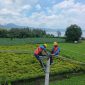 Tim PLN NTB melakukan pemeliharaan jaringan listrik di Bima menjelang Ramadan 1446 H untuk memastikan pasokan listrik tetap stabil dan andal. (Foto: Dok. PLN)
