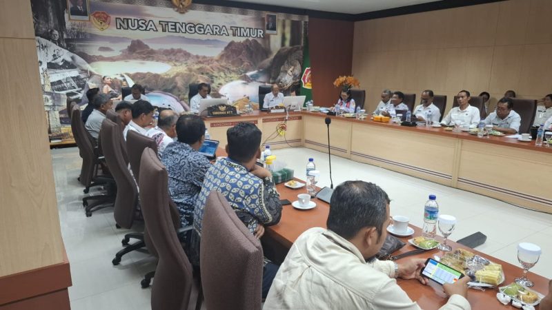 Suasana audiensi antara Pemprov NTT, PLN, dan para pengembang membahas isu sosial dalam pengembangan panas bumi di Flores dan Lembata.(Foto: Dok. PLN)