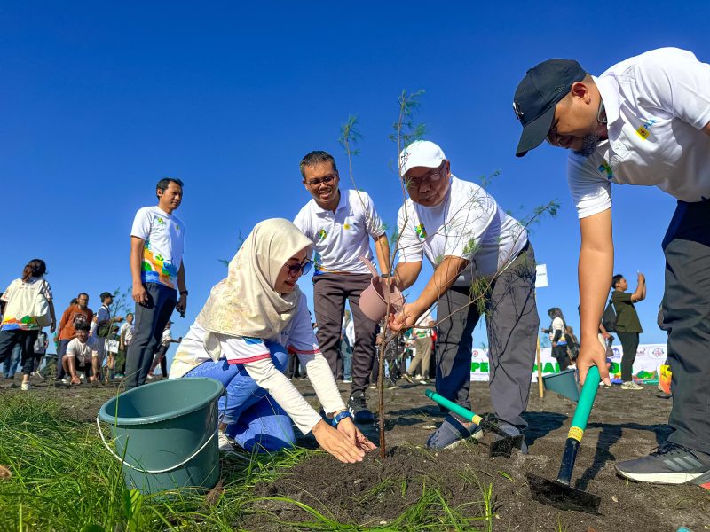 Para pegawai PLN bersama stakeholder daerah ikut serta dalam aksi penanaman pohon cemara laut sebagai bentuk kepedulian terhadap lingkungan pesisir. (Foto: Dok. PLN)