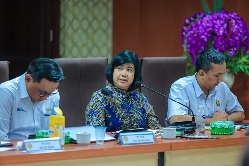 Diskusi strategis pengembangan energi panas bumi Flores: Sinergi antara pemerintah, BUMN, dan akademisi untuk mewujudkan energi bersih yang berkelanjutan. (Foto: Dok. PLN)