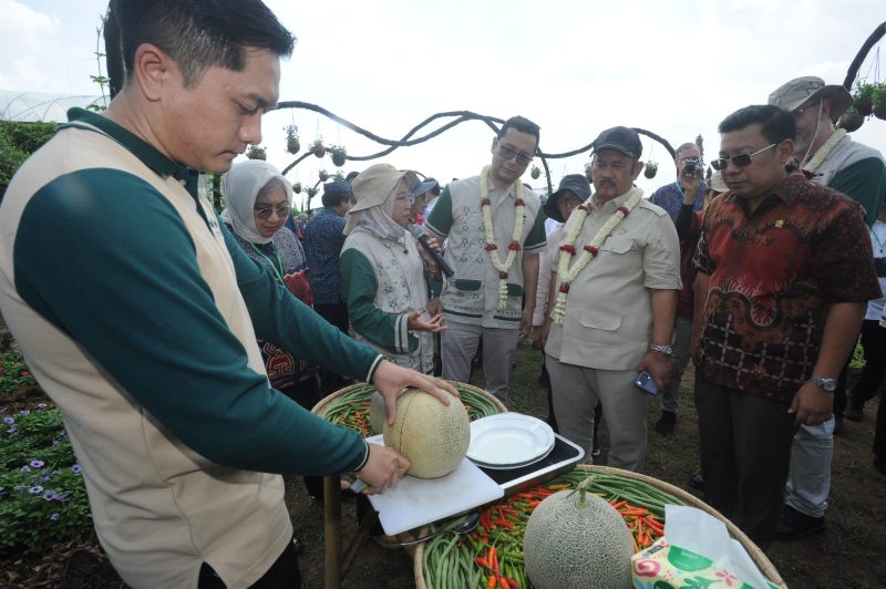 Menteri Pertanian RI Andi Amran Sulaiman (berbaju krem, tengah) bersama rombongan menyaksikan proses pemotongan melon saat kunjungan kerja di salah satu lokasi agrowisata hortikultura. Kegiatan ini menjadi bagian dari upaya mendukung pengembangan pertanian modern dan meningkatkan daya saing produk lokal di tingkat nasional dan internasional. (Foto: Istimewa)