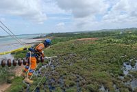 Teknisi PLN melakukan perawatan jaringan tegangan tinggi di wilayah pesisir, wujud komitmen menghadirkan listrik andal hingga ke pelosok negeri. (Dok. PLN)