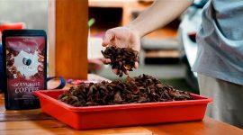 Mangrove Coffee, salah satu produk inovatif hasil program pemberdayaan masyarakat Desa Jerowaru, menjadi simbol transformasi lingkungan menjadi peluang ekonomi berkelanjutan. (Foto: Dok. PLN)