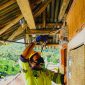 Teknisi PLN sedang memasang sambungan listrik baru dalam program Light Up The Dream, memastikan setiap rumah warga pelosok NTB mendapat akses energi yang aman dan andal. (Foto: Dok. PLN)