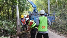 Petugas PLN memasang tiang listrik di wilayah pedesaan sebagai wujud pelaksanaan Program Listrik Desa (Lisdes) 2025 yang bertujuan membawa penerangan hingga ke pelosok nusantara. (Foto: Dok. PLN)