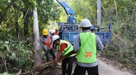 Petugas PLN memasang tiang listrik di wilayah pedesaan sebagai wujud pelaksanaan Program Listrik Desa (Lisdes) 2025 yang bertujuan membawa penerangan hingga ke pelosok nusantara. (Foto: Dok. PLN)