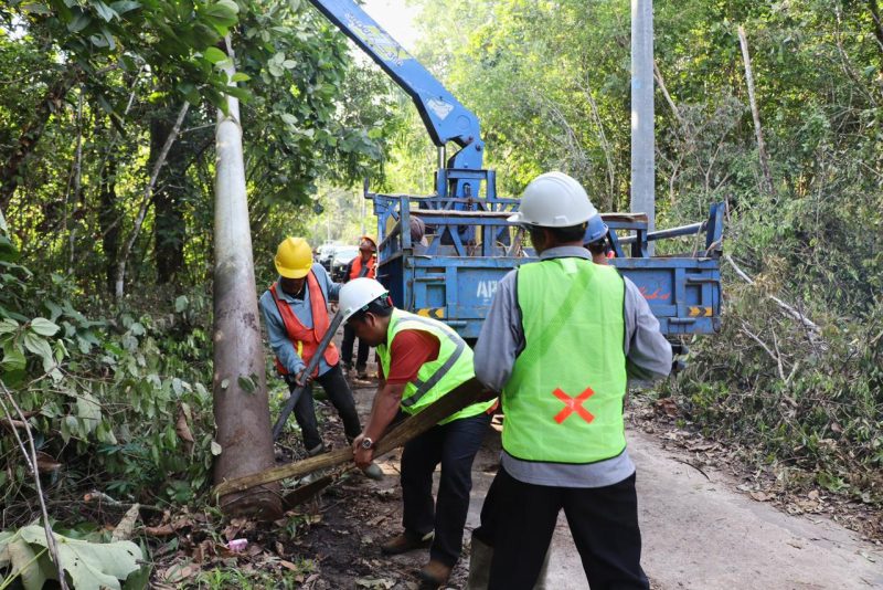 Petugas PLN memasang tiang listrik di wilayah pedesaan sebagai wujud pelaksanaan Program Listrik Desa (Lisdes) 2025 yang bertujuan membawa penerangan hingga ke pelosok nusantara. (Foto: Dok. PLN)