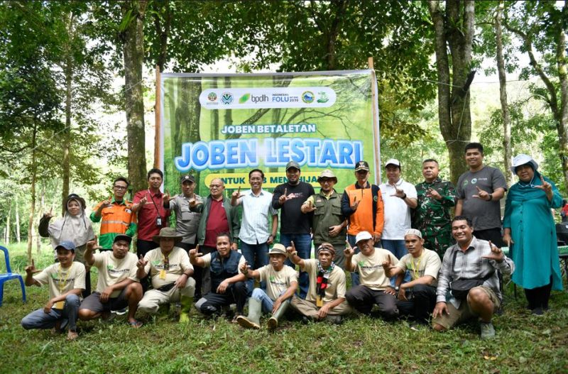 Komunitas Proklim Joben Lestari, didukung mitra dan relawan, melaksanakan aksi penghijauan di kawasan Joben, Lombok Timur sebagai implementasi ekonomi hijau berbasis komunitas. (Foto: Istimewa)