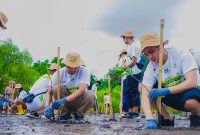 Pegawai PLN Group menanam ribuan bibit mangrove di pesisir Lombok Timur sebagai bagian dari Program Roots of Energy. (Foto: Dok. PLN)