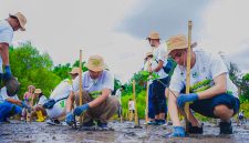 Pegawai PLN Group menanam ribuan bibit mangrove di pesisir Lombok Timur sebagai bagian dari Program Roots of Energy. (Foto: Dok. PLN)
