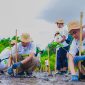 Pegawai PLN Group menanam ribuan bibit mangrove di pesisir Lombok Timur sebagai bagian dari Program Roots of Energy. (Foto: Dok. PLN)