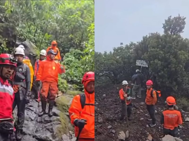 Tim SAR gabungan melakukan penyisiran lanjutan di kawasan Gunung Slamet dalam upaya mencari pendaki asal Magelang yang hilang. (Foto: Istimewa)