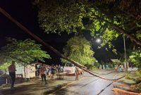 Kondisi lokasi saat evakuasi kabel dan penormalan jaringan berlangsung, listrik tetap terjaga tanpa pemadaman pelanggan.(Foto: Dok. PLN)