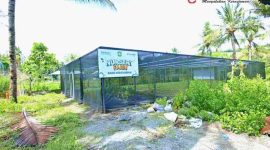 Nursery Farm Bank NTB Syariah: bukan sekadar fasilitas, tetapi investasi lingkungan dan ekonomi masyarakat.(Foto: Istimewa)