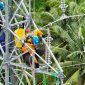 Pekerjaan pemeliharaan infrastruktur transmisi dilakukan dengan standar keselamatan kerja ketat guna memastikan sistem kelistrikan tetap stabil dan andal.(Foto: Dok. PLN)