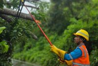Dengan perlengkapan keselamatan lengkap, personel PLN bergerak cepat menangani gangguan akibat angin kencang guna memastikan listrik kembali menyala.(Dok. PLN)
