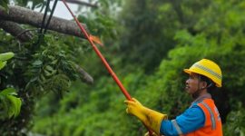 Dengan perlengkapan keselamatan lengkap, personel PLN bergerak cepat menangani gangguan akibat angin kencang guna memastikan listrik kembali menyala.(Dok. PLN)