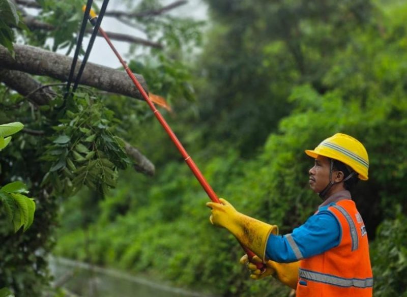 Dengan perlengkapan keselamatan lengkap, personel PLN bergerak cepat menangani gangguan akibat angin kencang guna memastikan listrik kembali menyala.(Dok. PLN)