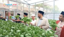 Para tamu undangan dari tokoh agama, kasubbag TU kemenag bersama kepala man lobar memanen.(Foto istimewa)