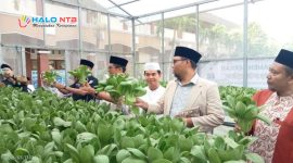 Para tamu undangan dari tokoh agama, kasubbag TU kemenag bersama kepala man lobar memanen.(Foto istimewa)