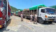 Aktivitas pengiriman sapi dari NTB melalui pelabuhan menuju Jabodetabek menjelang Iduladha 2026.(Foto: Istimewa)