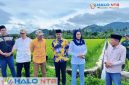 Arsip Foto, saat serah terima Program Irigasi dari Aspirasi Wakil Ketua DPR RI, Hj. Sari Yuliati di Desa Tempos, Kecamatan Gerung, Lombok Barat pada Februari lalu. (Foto: Istimewa).