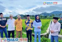 Arsip Foto, saat serah terima Program Irigasi dari Aspirasi Wakil Ketua DPR RI, Hj. Sari Yuliati di Desa Tempos, Kecamatan Gerung, Lombok Barat pada Februari lalu. (Foto: Istimewa).