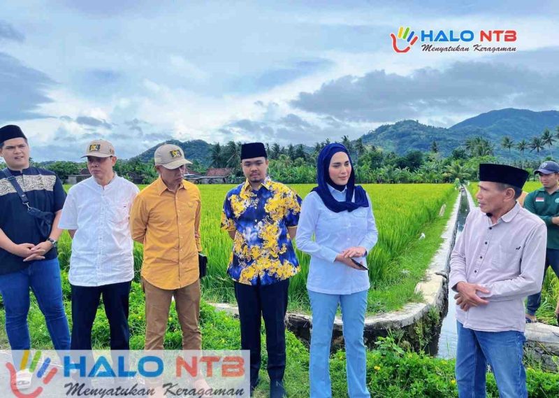 Arsip Foto, saat serah terima Program Irigasi dari Aspirasi Wakil Ketua DPR RI, Hj. Sari Yuliati di Desa Tempos, Kecamatan Gerung, Lombok Barat pada Februari lalu. (Foto: Istimewa).