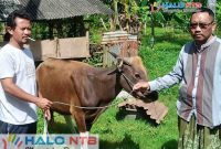 Panitia Qurban Masjid Nurul Iman, Sekotong Tengah, Kecamatan Sekotong, Lombok Barat saat menerima hewan qurban dari Anggota DPRD NTB, Lalu Irwansyah Triadi, Rabu (27/5/2026). (Foto: Istimewa).