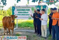 Kepala MAN Lombok Barat bersama panitia tampak khusyuk berdoa sesaat sebelum dimulainya prosesi penyembelihan hewan kurban di lingkungan MAN Lombok Barat, Kamis (28/5/2026). (Foto: Humas MAN Lombok Barat).