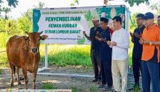 Kepala MAN Lombok Barat bersama panitia tampak khusyuk berdoa sesaat sebelum dimulainya prosesi penyembelihan hewan kurban di lingkungan MAN Lombok Barat, Kamis (28/5/2026). (Foto: Humas MAN Lombok Barat).