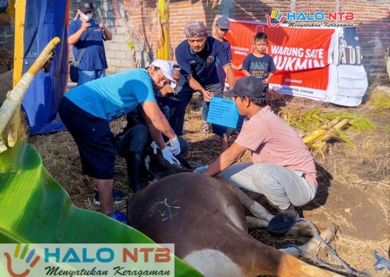 Pengurus dan anggota Paguyuban Pasundan Lombok (PPL) bahu-bahu menyembelih hewan kurban dalam rangka Iduladha 1447 H di Kota Mataram, Kamis (28/5/2026). (Foto: Istimewa).