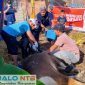 Pengurus dan anggota Paguyuban Pasundan Lombok (PPL) bahu-bahu menyembelih hewan kurban dalam rangka Iduladha 1447 H di Kota Mataram, Kamis (28/5/2026). (Foto: Istimewa).