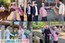H. Lalu Daryadi menyerahkan secara langsung bantuan hewan kurban kepada perwakilan warga di sejumlah wilayah Lombok Barat, Rabu (27/5/2026). (Foto: Istimewa).