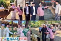 H. Lalu Daryadi menyerahkan secara langsung bantuan hewan kurban kepada perwakilan warga di sejumlah wilayah Lombok Barat, Rabu (27/5/2026). (Foto: Istimewa).