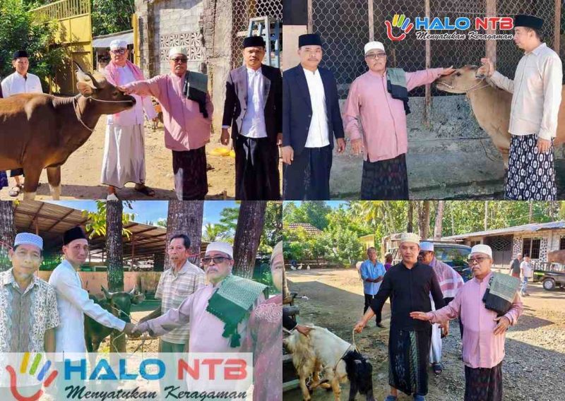 H. Lalu Daryadi menyerahkan secara langsung bantuan hewan kurban kepada perwakilan warga di sejumlah wilayah Lombok Barat, Rabu (27/5/2026). (Foto: Istimewa).