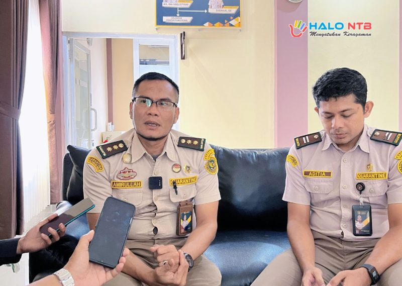 Karantina NTB, Amirullah (kiri), memberikan keterangan kepada awak media terkait peningkatan pengiriman ternak menjelang Iduladha di Mataram.(Foto.Istimewa)