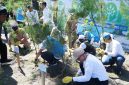 PLN bersama pemerintah daerah dan stakeholder melakukan penanaman 2.500 pohon di kawasan Pantai Induk, Gerung, Lombok Barat, sebagai upaya menjaga kelestarian pesisir dan mencegah abrasi.(Dok.PLN)