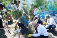 PLN bersama pemerintah daerah dan stakeholder melakukan penanaman 2.500 pohon di kawasan Pantai Induk, Gerung, Lombok Barat, sebagai upaya menjaga kelestarian pesisir dan mencegah abrasi.(Dok.PLN)