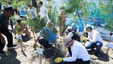 PLN bersama pemerintah daerah dan stakeholder melakukan penanaman 2.500 pohon di kawasan Pantai Induk, Gerung, Lombok Barat, sebagai upaya menjaga kelestarian pesisir dan mencegah abrasi.(Dok.PLN)
